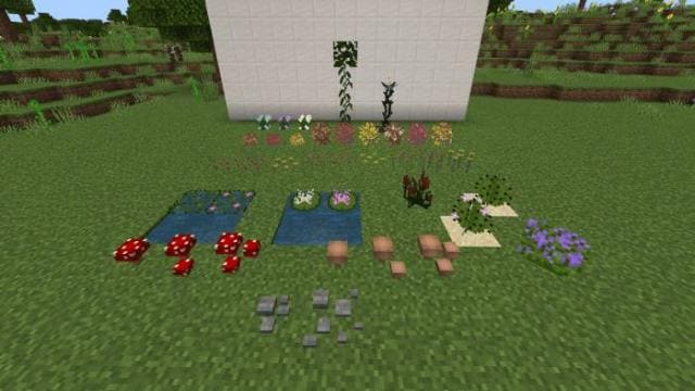 Разнообразные растения