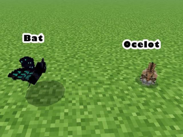 Летучая мышь и оцелот