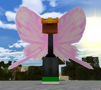 Крыло Чочо Акимичи