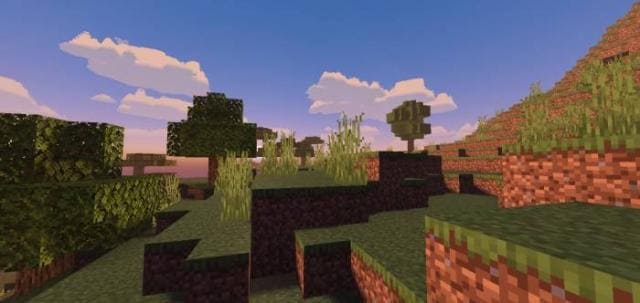 Деревья на холме