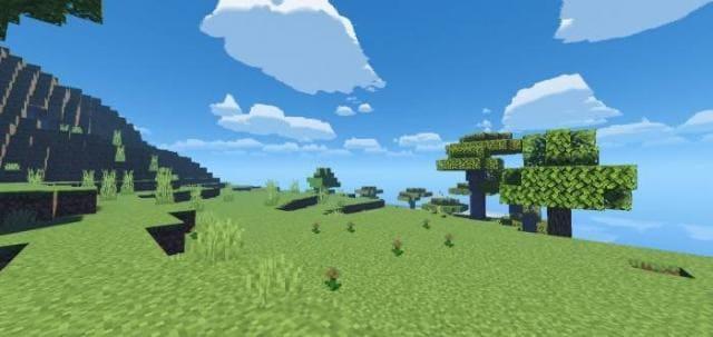 Большой холм с деревом