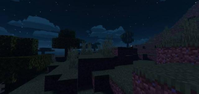 Темная ночь в лесу