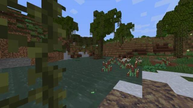 Красивое болото