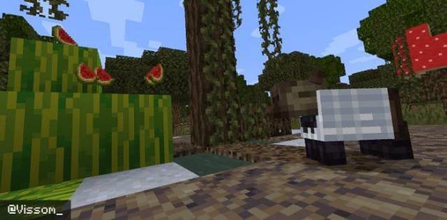 Капибара рядом с арбузом