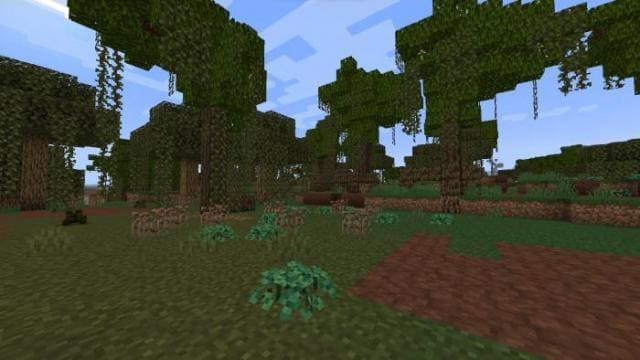 Новый вид болота