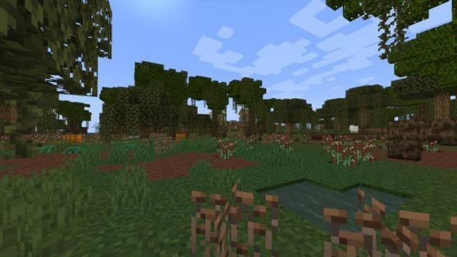 Вид блоков дополнения