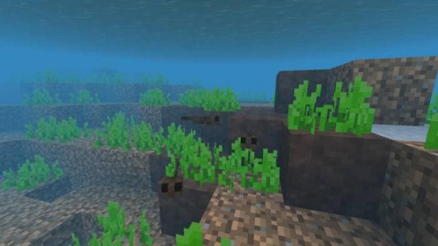 Головастик