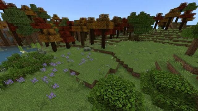 Вид на леса