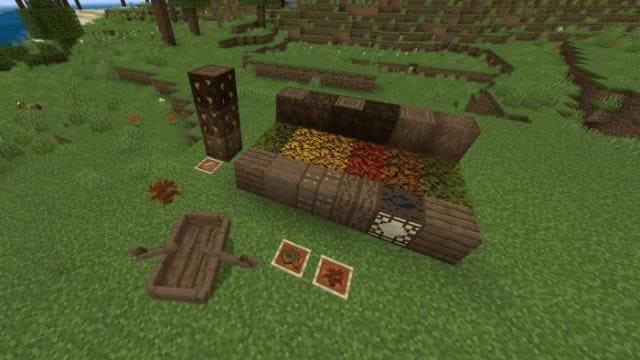 Кленовое дерево