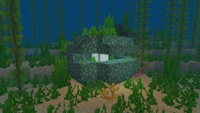 Гигантский призмариновый моллюск