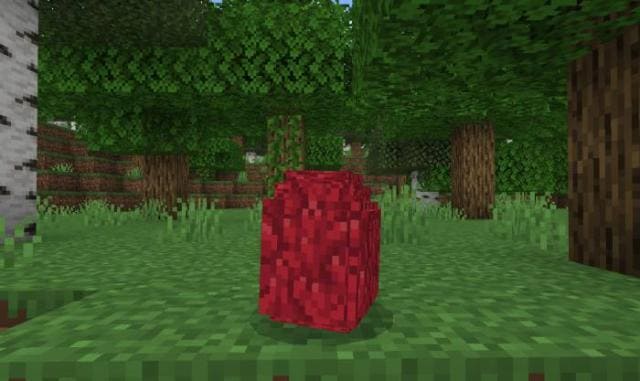 Готовое к вылуплению яйцо