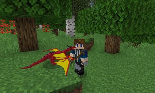 Маленький дракон