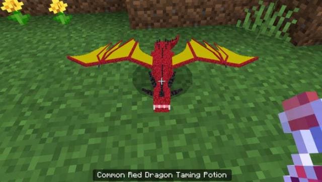 Маленький дракон игрока