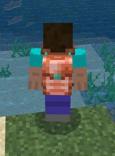 Медная сумка