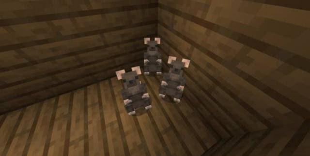 Крысы в игре