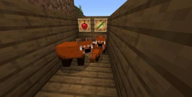 Красная панда