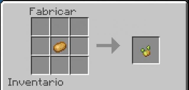 Семя картофеля