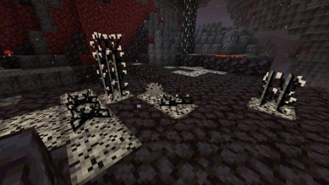 Пепельное растение