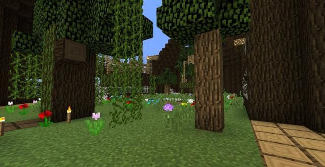 Арена покемонов вид внутри