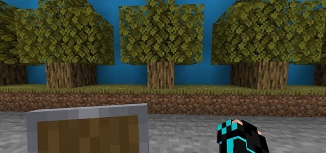 Щит до применения текстур