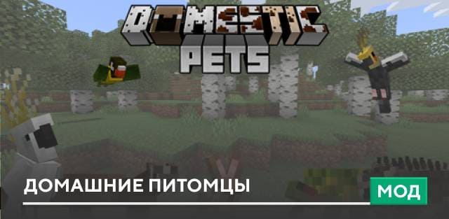 Мод: Домашние питомцы