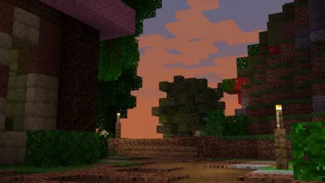 Закат в лесу