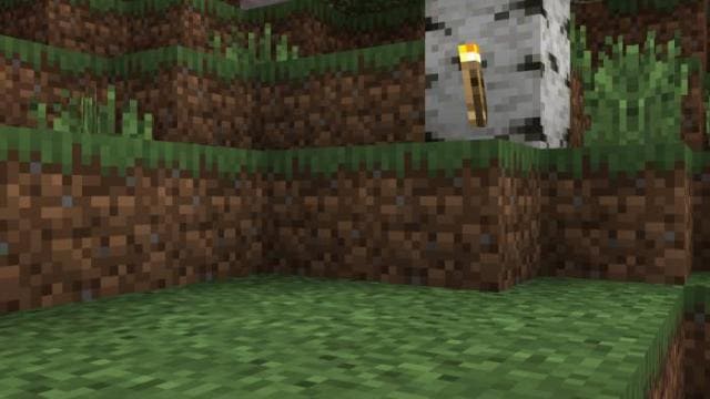 Факел на березе