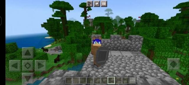 Щит чемпиона в руке