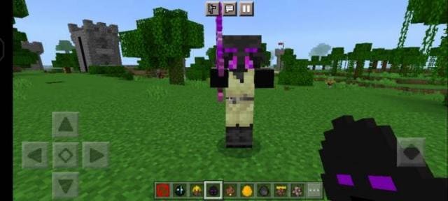 Эндер-пиглин