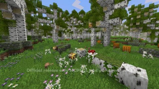 Березовый лес