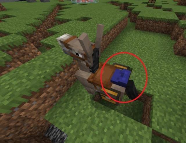 Сумка на осле