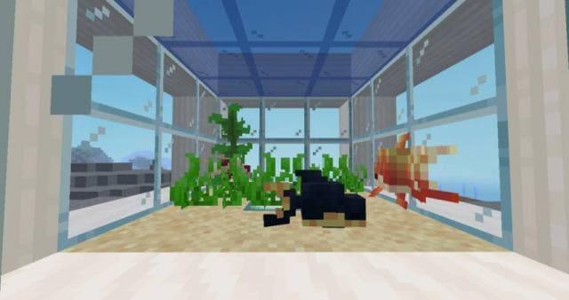 Золотые рыбки в аквариуме