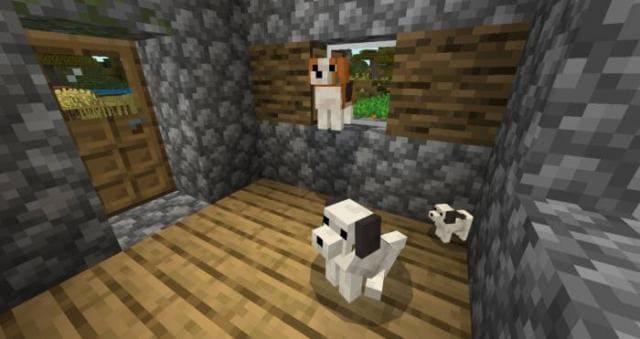 Бигль в доме