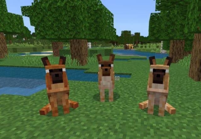 Немецкие овчарки втроем