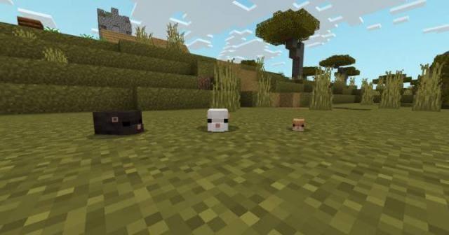 Хомяки на равнине