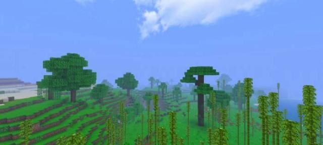 Джунгли рядом с лесом