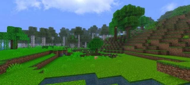 Березовый лес рядом с полем