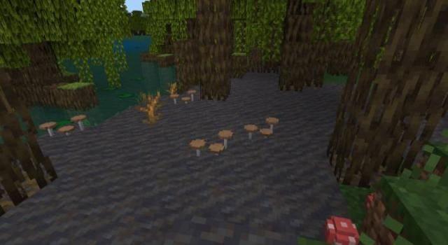 Множество коричневых грибов