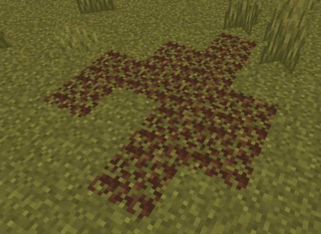 Засохшая трава в саванне