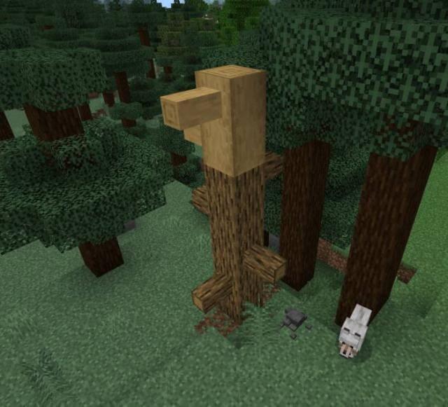 Ветки на дубе