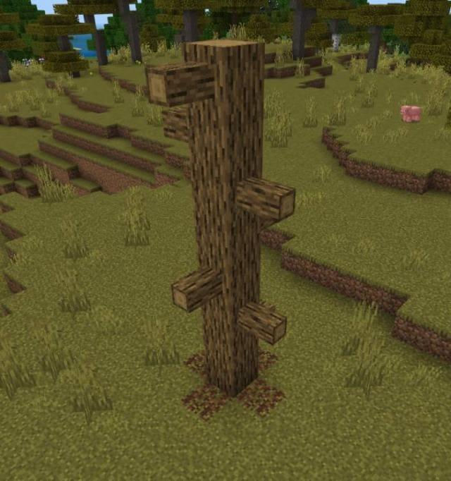 Дуб с ветками