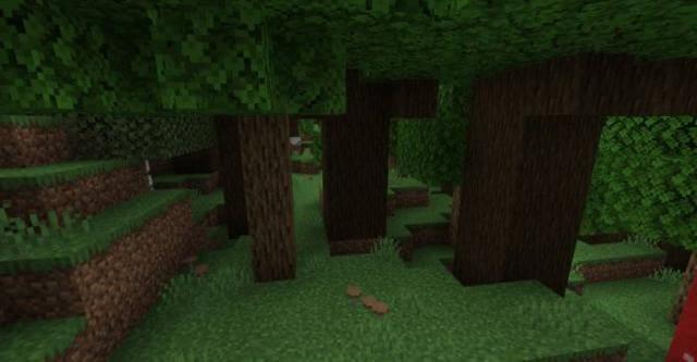 Маленькие камешки под деревьями