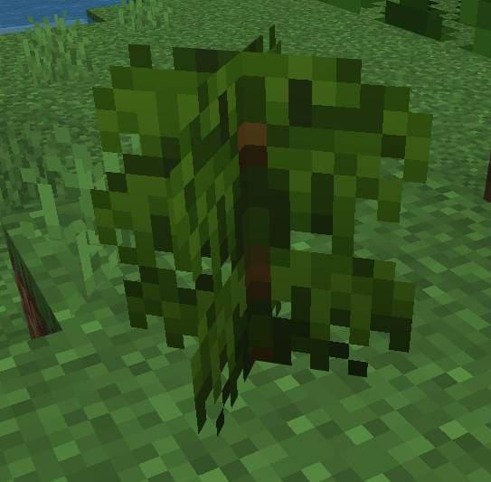 Маленький кустарник