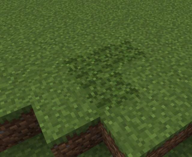 Засохшая трава на равнине