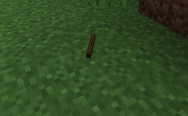 Палка на земле