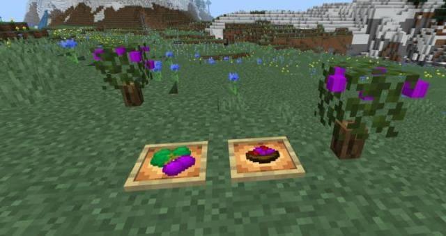 Ягоды черноплодки