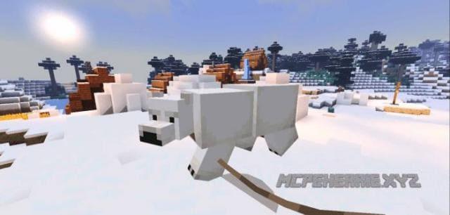 Белый медведь на поводке