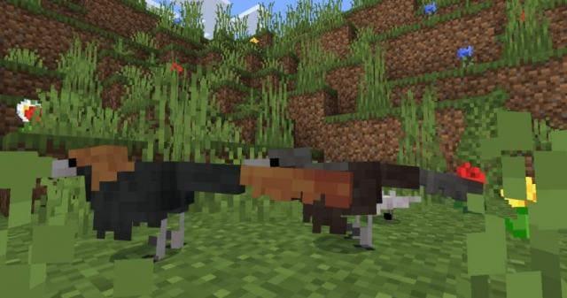 Велоцираптор