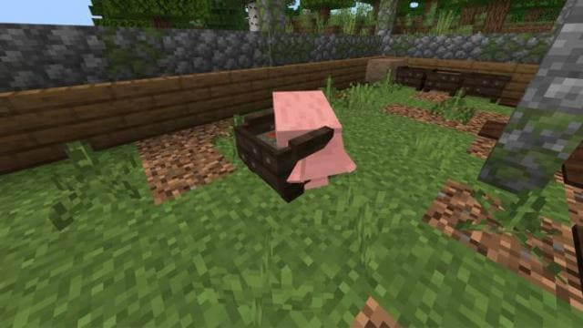 Анимация свиньи