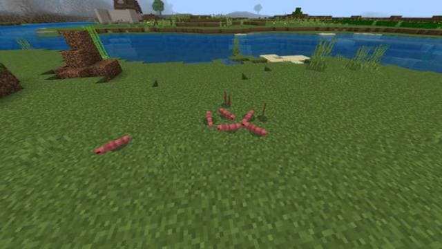 Черви на земле